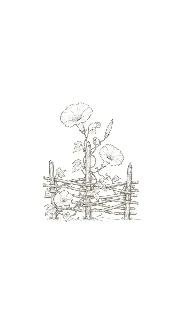 Minimalist Morning Glory on Rustic Fence