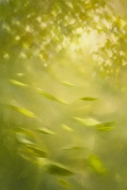 Sophisticated Texture image example: Warm Green Hazy Spring Atmosphere Art Poster
