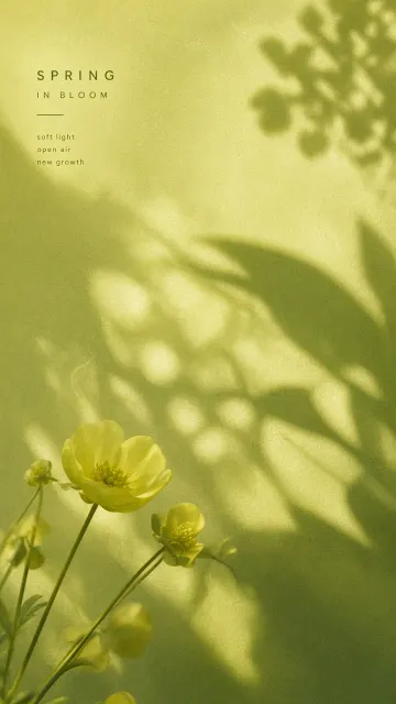 Refined Texture image example: Minimalist Warm Green Spring Floral Shadow Poster