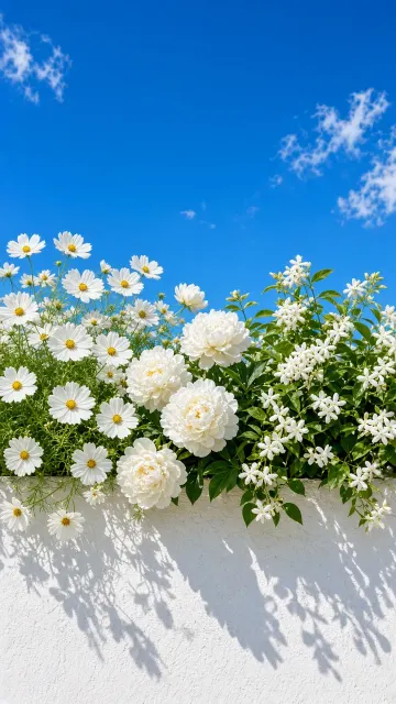 Romantic Aesthetic image example: Blooming Flowers on White Wall Under Blue Sky