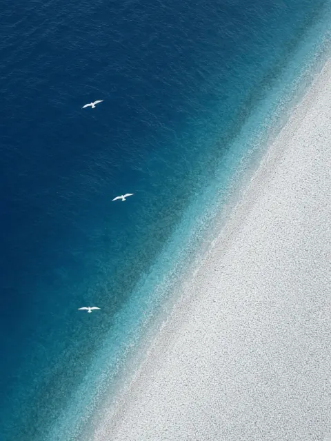 Minimalist Aerial Coastline with Flying Birds