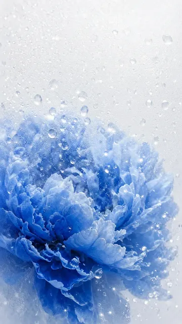 Blue Peony Behind Dew-Covered Frosted Glass