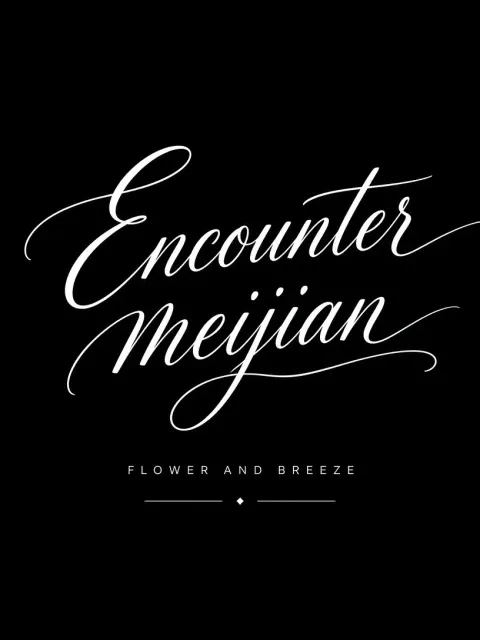 Modern Typography image example: Modern Handwritten Typography Encounter and Breeze