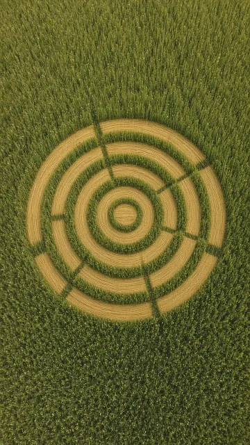 Abstract Form image example: Aerial Land Art of Wind-Swirled Geometric Wheat Patterns