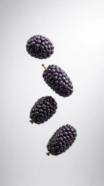 Minimalist Freeze-Motion Still Life of Falling Black Mulberries