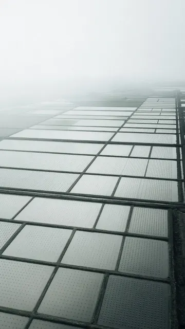 Bauhaus Constructivist Aerial View of Flooded Paddy Fields