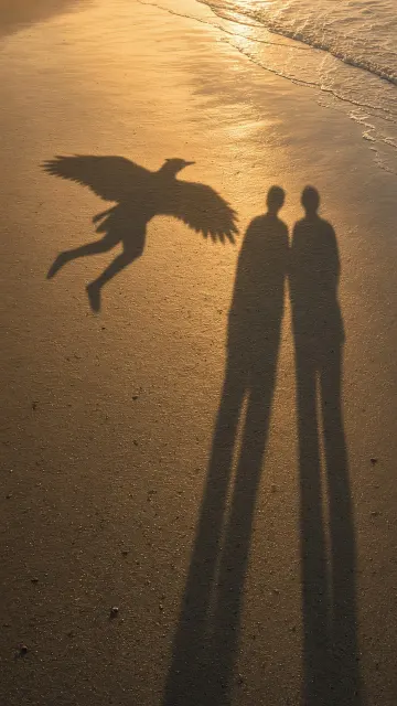 Elongated Sunset Silhouette on Wet Sand