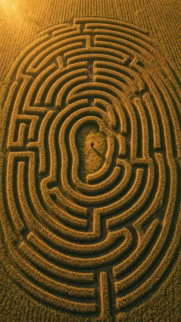 Wheat Field image example: Fingerprint Maze Wheat Field Land Art