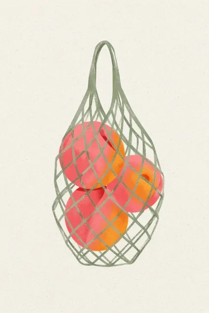 Minimalist Japanese Mesh Bag Peaches Poster