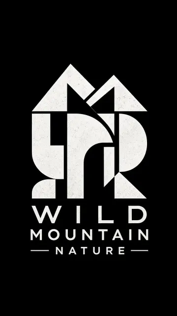 Mid-Century Modern Geometric Mountain Logo