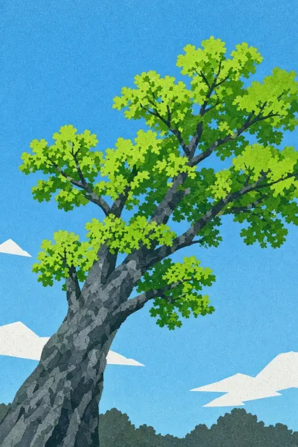 Japanese Illustration image example: Screen-Printed Spring Tree and Blue Sky Illustration
