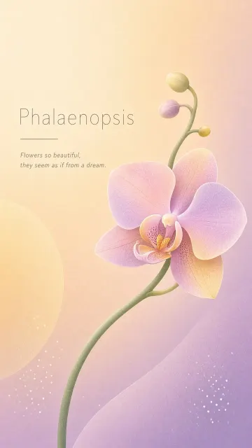 Fauna and Flora image example: Minimalist Gradient Moth Orchid Graphic Poster