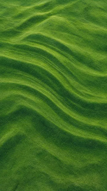 High-Saturation Green Meadow Aerial Photography