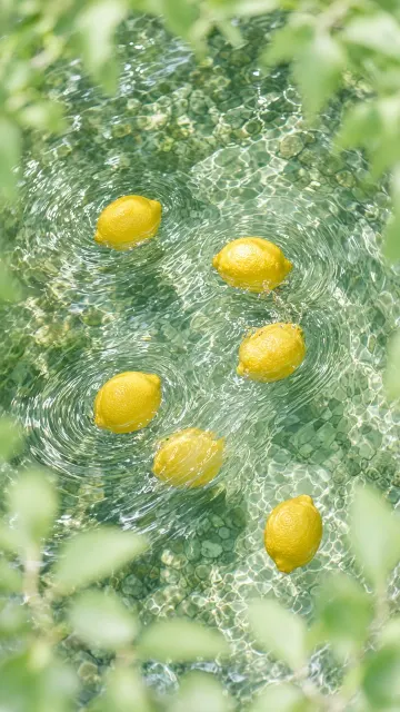 Top Down Fresh Lemons in Flowing Water Still Life