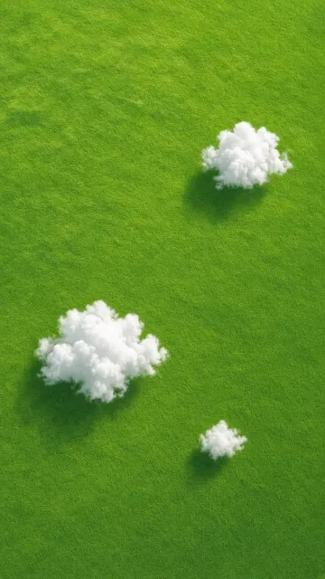 Flora and Plants image example: Minimalist Spring Grass Field Aerial Poster