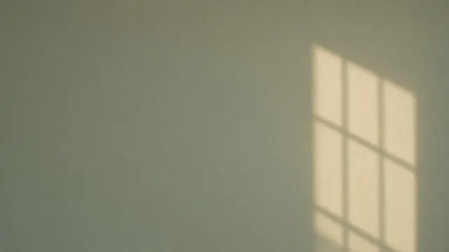 Backgrounds & textures image example: Sunlight on sage plaster