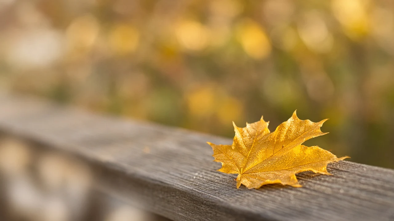 Single Dew-Kissed Golden Leaf on Weathered Wood Lock-Screen