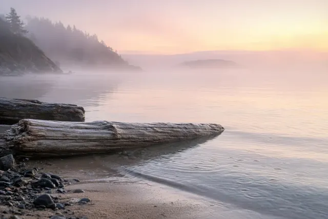 Morning Mist and Whispering Surf along a Driftwood Cove