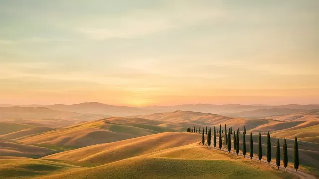 Tuscan Rolling Cypress Ridges in Amber Evening Glow