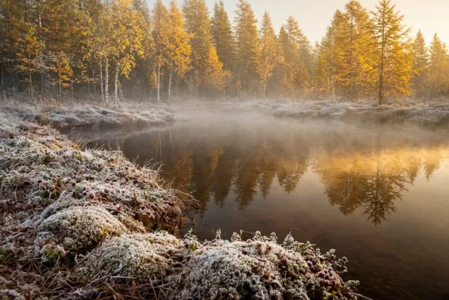 Finnish Taiga Bog Lake in Autumn Rime Frost