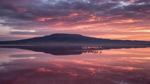 Great Rift Valley Soda Lake at Sunset with Flamingos