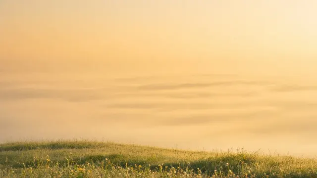 Atmospheric Morning Fog Rolling Across Gentle Rolling Steppe