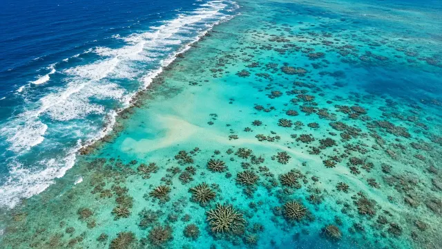 Aerial High-Altitude Panorama of Coral Atoll Rim Separating Rough Ocean from Glassy Lagoon