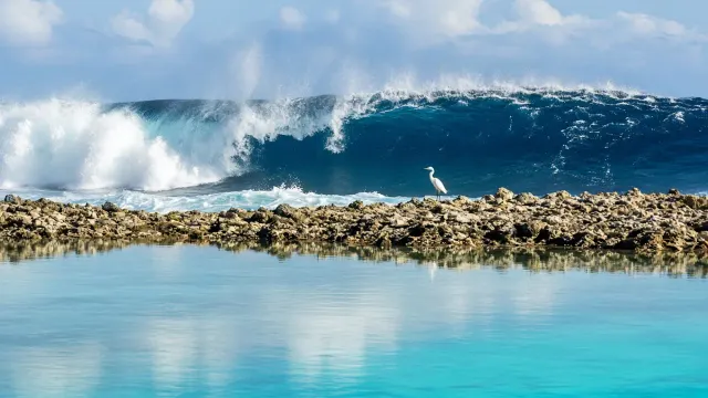 Telephoto Layering of Outer Ocean Breakers Contrasted with Motionless Inshore Lagoon