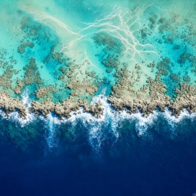 Perpendicular Orthographic Aerial of Coral Barrier Delineating Multi-Hue Lagoon