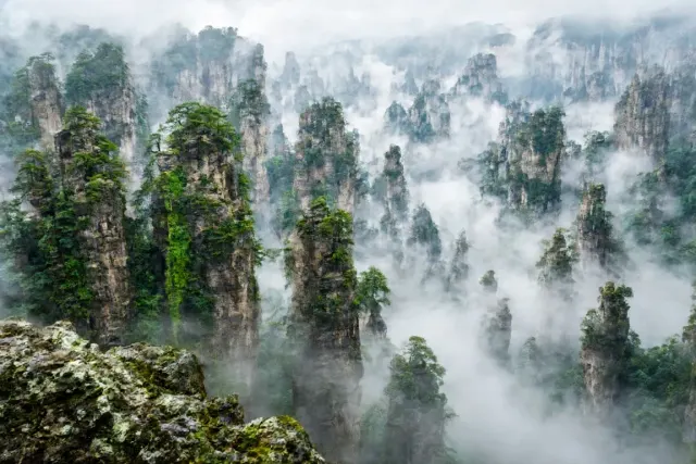Towering Quartzite Pillars of Zhangjiajie in Verdant Mist
