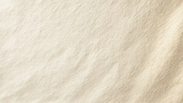 Raw Oatmeal Linen Weave with Soft Afternoon Light Grazing