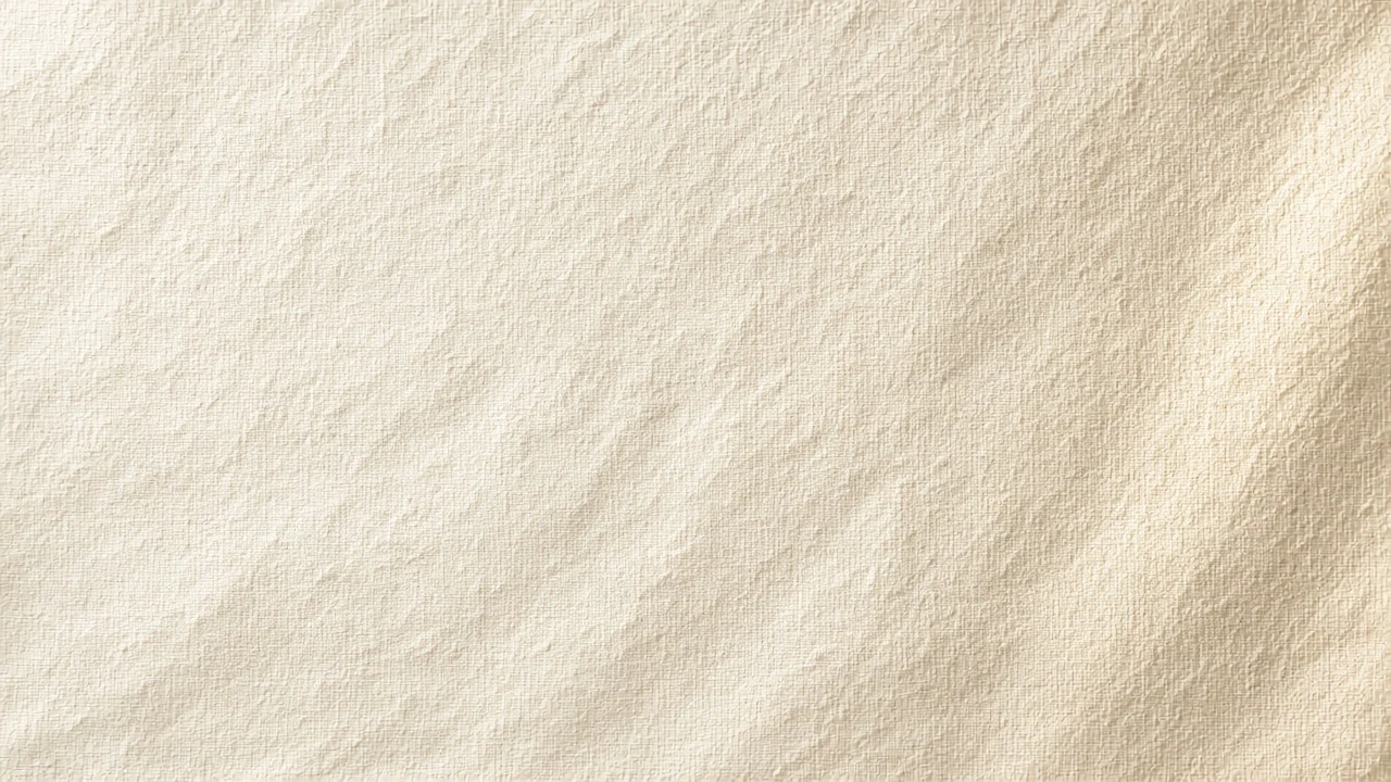 Raw Oatmeal Linen Weave with Soft Afternoon Light Grazing