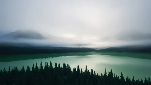Distant Nordic Pine Forest Ridge Enveloped in Morning Lake Mist