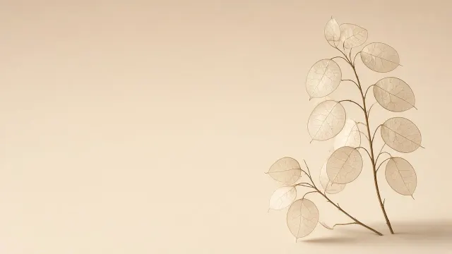 Single Dried Botanical Stem Anchored in Minimal Cream Void