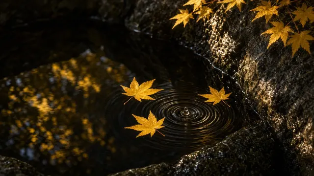 Minimalist Water Basin with Floating Japanese Golden Leaves