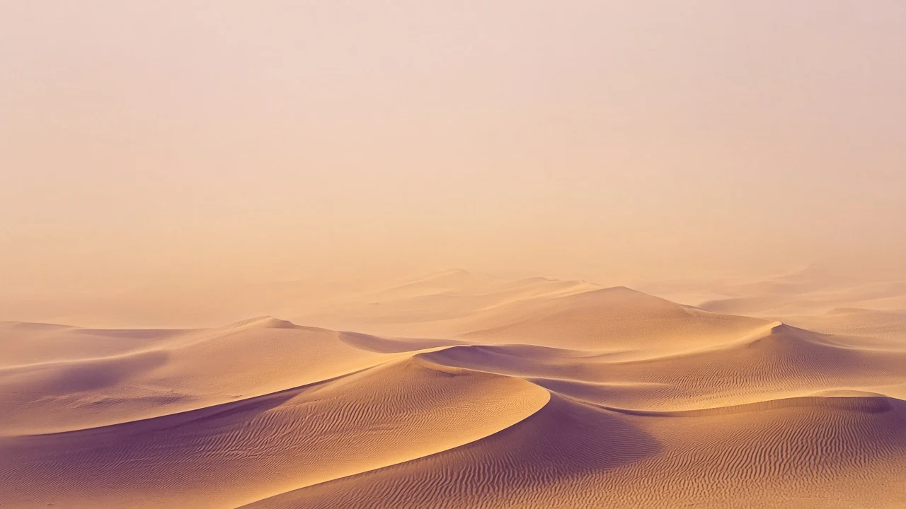 Abstract Topographic Sand Dune Curves in Golden Hour Light