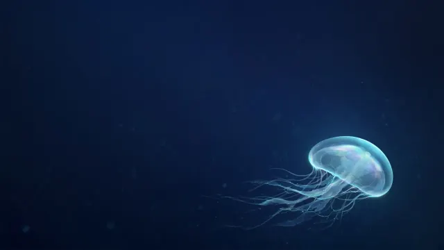 Luminescent Deep Sea Jellyfish Drifting in Prussian Indigo Void