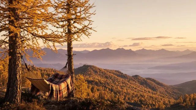 Alpine Meadow Hammock Overlooking Glowing Golden Larch Canopy