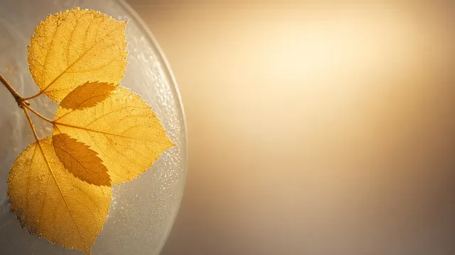 Backlit Golden Aspen Leaves on Frosted Glass with Wide Luminous Negative Space