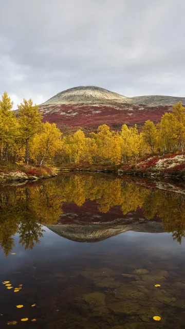 Autumn Taiga Lake and Ancient Arctic Ridge Mirror
