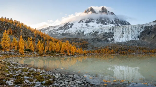 Siberian Altai Larch Forests and Akkem Lake Belukha Vista