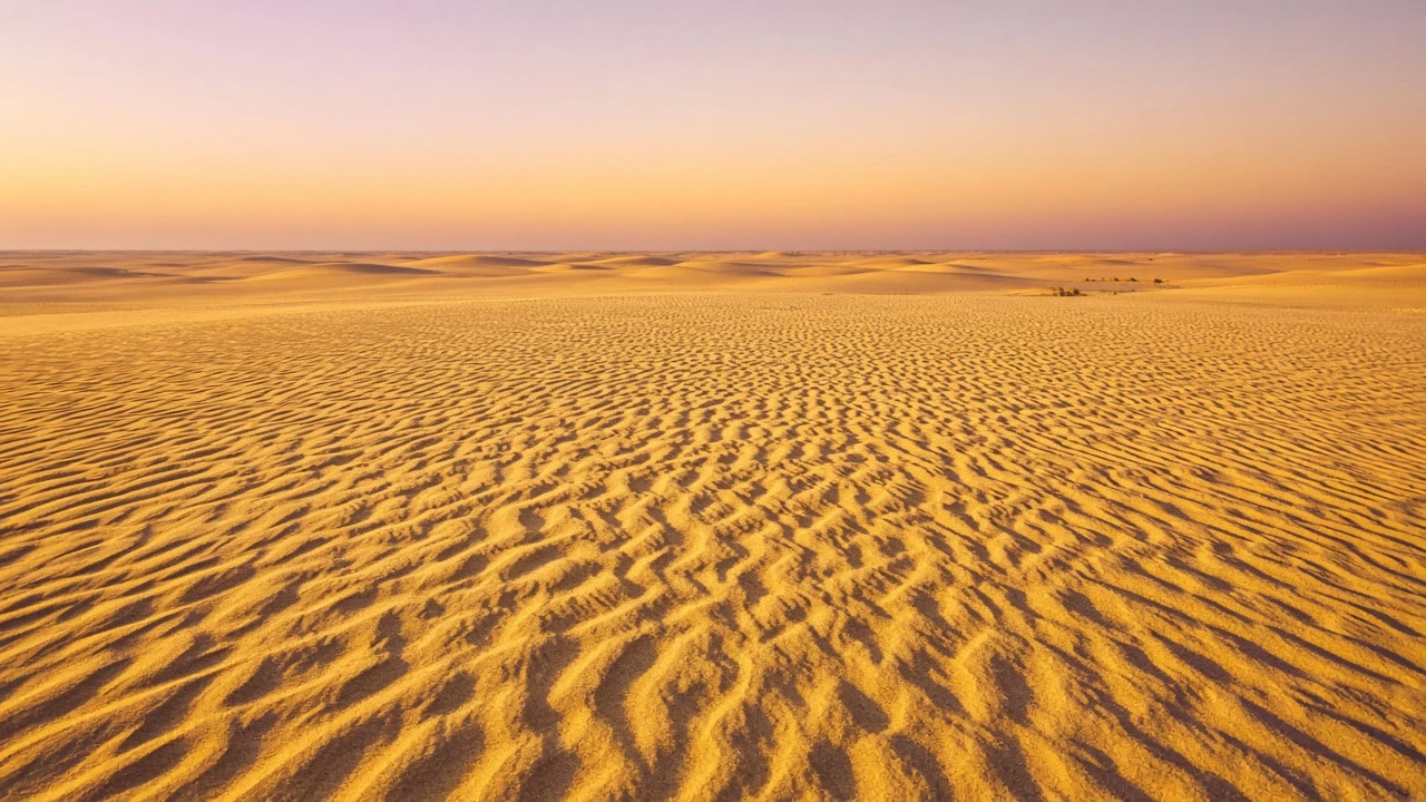 Thar Desert Golden Herringbone Ripples Under Warm Gradient Horizon