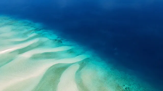 Aerial High-Key Perspective of Serene Coral Reef Drop-Off