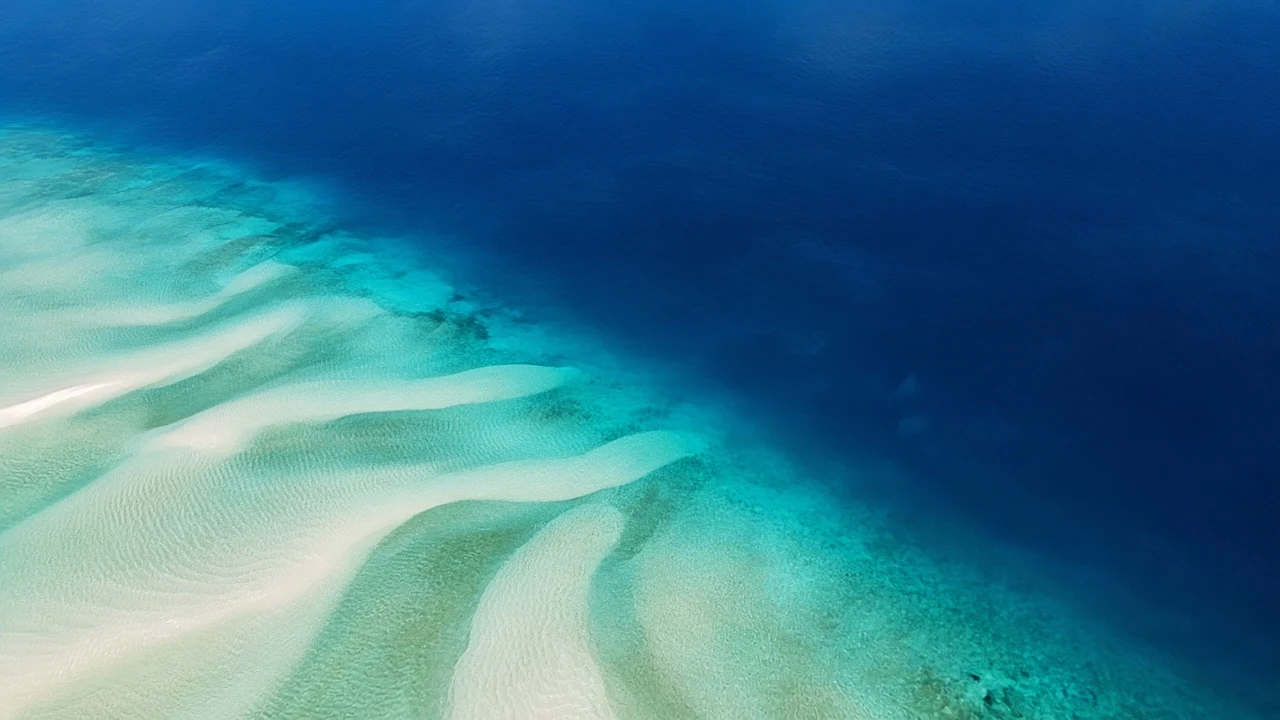 Aerial High-Key Perspective of Serene Coral Reef Drop-Off
