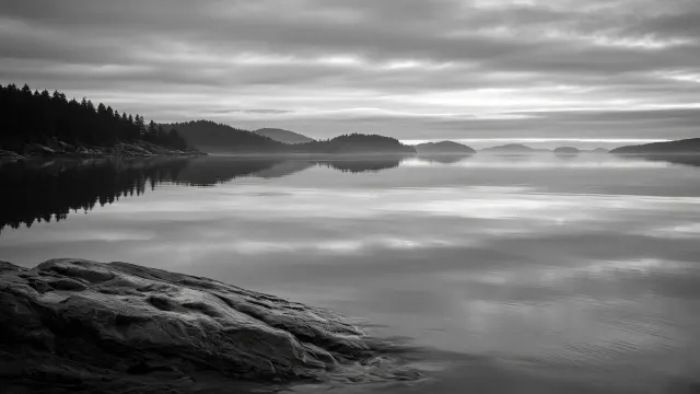 Monochromatic Silver Mist Enveloping Pacific Northwest Bay