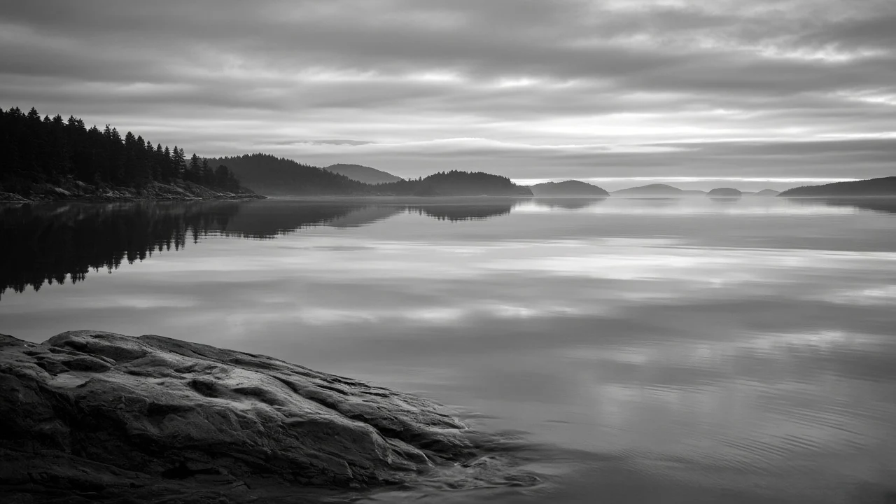Monochromatic Silver Mist Enveloping Pacific Northwest Bay