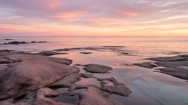 Pink Quartz Coastal Flat with Peaceful Low-Tide Horizon