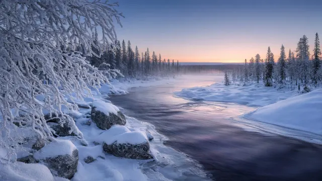 Twilight Frost Across Siberian Boreal Taiga River