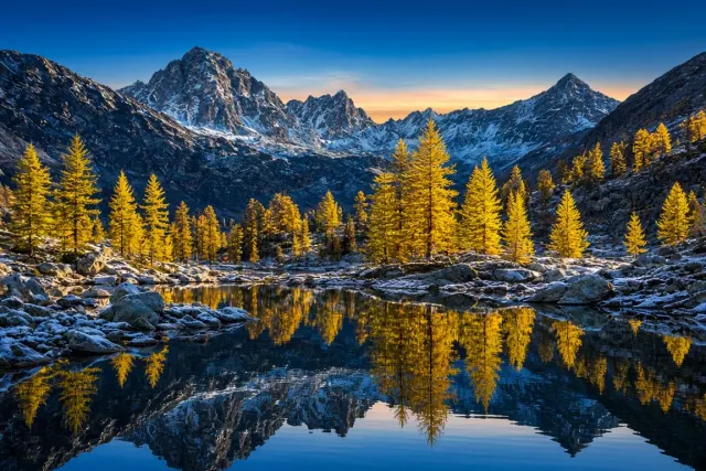 Alpine Larch Golden Hour Above Glacial Mountain Tarn