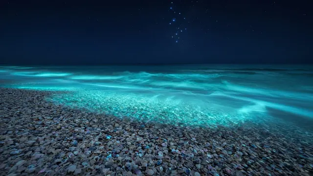 Coquina Shell Bank Silk Wave Long Exposure
